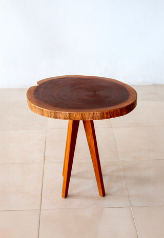 TREE TRUNK COFFEE TABLE
